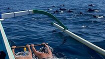 Bali : Dolphin Sunrise Experience Tour Private All Inclusive 