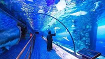 Burj Khalifa & Dubai Aquarium Combo Skyline Views & Ocean Wonders