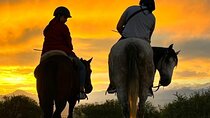Sunset Horseback Riding Tour in Lunlunta with Dinner Included