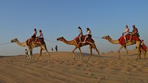 Desert Safari Dubai Experience with Dinner