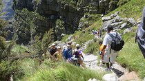 Private Hiking and Trekking on Table Mountain with Guide