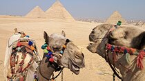 Saqqara & Giza Pyramids Tour with Camel Ride
