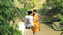 Bali Swing Packages and Denpasar City Private Tour