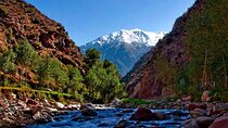 Excursion to the Ourika Valley from Marrakech