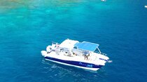 6 Hour Private Charter in Kona