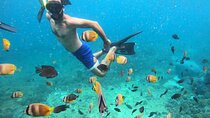 From Bali One Day Nusa Penida Tours with Manta Rays Snorkeling