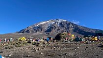 7 Days Mount Kilimanjaro Machame Route