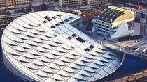 Bibliotheca Alexandrina Day Tour from Alexandria