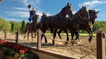 Budapest to Godollo Palace Private tour with Horse Show Option