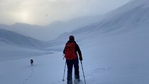 Snowshoeing Experience and Storytelling in Héðinsfjörður