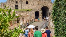 Pompeii: Tour with Priority Entrance and Guide from Naples