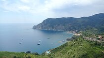 Accessible & Hassle-Free Cinque Terre Private Tour from La Spezia