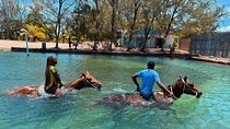 Horseback Ride and Swim Private Tour In Montego Bay 