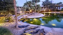 Dubai Crocodile Park Ticket with Optional Private Transfer