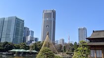 Tsukiji & Hamarikyu Gardens Wellness Tour – Walk, Relax & Lunch