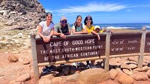 Cape Peninsula Sightseeing Tour