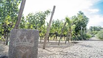 6 Hour Pompeii and Winery Private Tour 