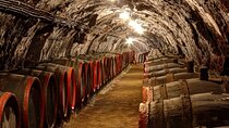 Tokaj Private Day Trip from Budapest
