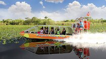 Miami and Everglades Adventure: Airboat & Bay Cruise Combo