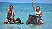 Horseback Ride and Catamaran Cruise Experience
