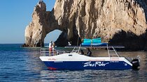 Bay Trip and the Arch of Cabo San Lucas 