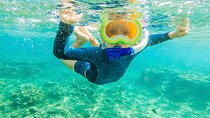 4 Hour Private Snorkeling Tour in Kona