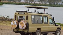The Best and Most Affordable 4-Day Tanzania Budget Private Safari