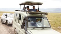 4-Day Tanzania Private Luxury Drive In-Drive Out Safari 2025-2026
