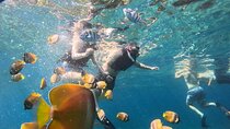 Bali Blue Lagoon Snorkeling Ticket And Transfer