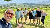 Lucca and Tuscany Winery Tour from Livorno Port
