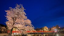 Takayama Night Tour – Lantern-Lit Streets & Heritage Sights