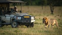 2 Days 1 Night Safari to Selous Game Reserve From Zanzibar 