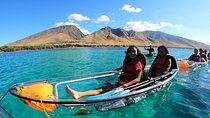 Clear Bottom Kayak and Snorkel Experience at Turtle Reef Olowalu