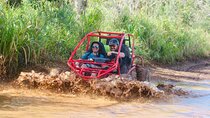 Cumayasa Private Buggies Tour from Santo Domingo