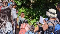 North Vancouver Foraging Workshop Tour