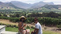 Full Day Small Group Wine Tour Cape Town and Stellenbosch 