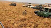 3 Days Best Of Masai Mara Safari-Luxury package