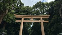 3 Hour Private Tokyo Meiji Jingu Shrine Wellness Tour