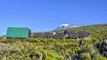 Full Day Guided Trekking in Mount Kilimanjaro