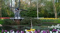 Blooming Beauty: Exploring Haven of Colors at Keukenhof Gardens