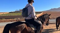 Horse back riding near Agafay desert and 2 Atlas Mountain valleys discovery
