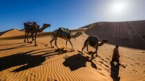 3 Days Desert Tour to Fes from Marrakech