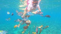 Bali Blue Lagoon Snorkeling with Optional Sightseeing