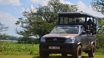Yala National Park Private Tour with Fast Entry