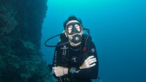 Learn Scuba Diving in Tenerife with Photos Included