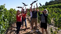 Douro Valley Small-Group Tour with Wine Tasting, Lunch and Boat
