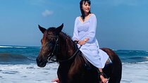 From Ubud 1 Hour Horse Riding at The Beach Experiences