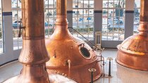 The Brewery Experience & beer tasting including transport
