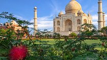 Sunrise Taj Mahal Private Tour From Delhi