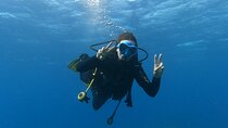 PADI Open Water Scuba Diving Certification Puerto Colon